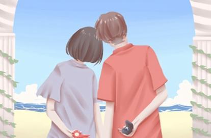 理想对象类型